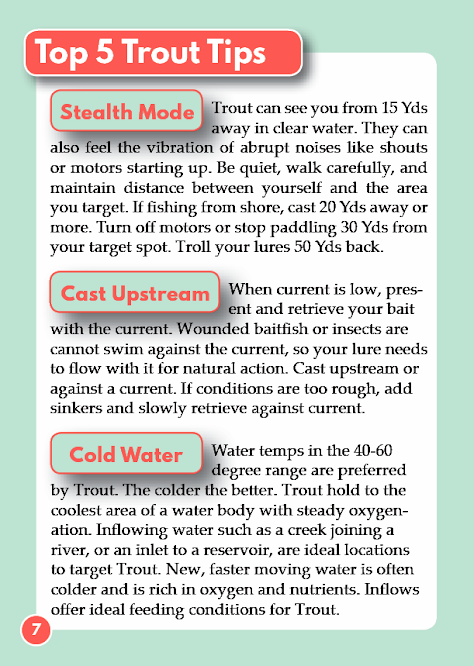Top 5 Trout Tips
