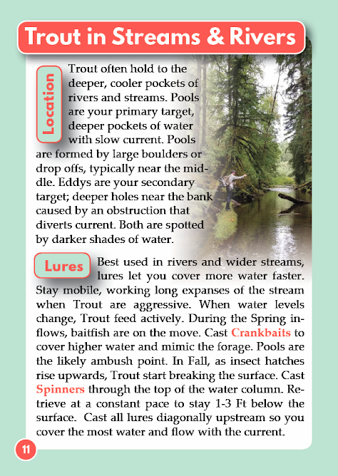 Trout in Streams and Rivers