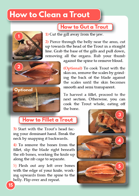 How to Clean a Trout