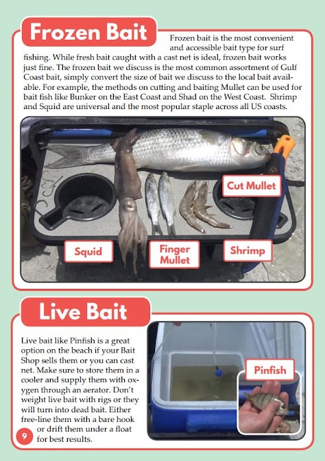 Surf Fishing Book Bait Page Tailored Tackle