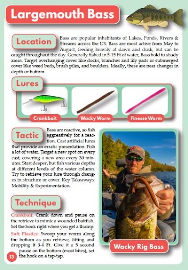 Best Fishing Lure Tips Largemouth Bass