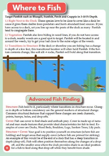Where to Find Fish Best Fishing Spots