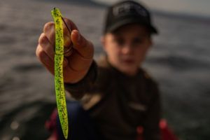 Soft-Plastic-Lure-How-to-Choose-the-Best-Soft-Bait-wacky-worm-tailored-tackle-3