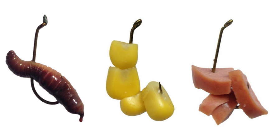 fishing bait worms corn hotdog tailored tackle