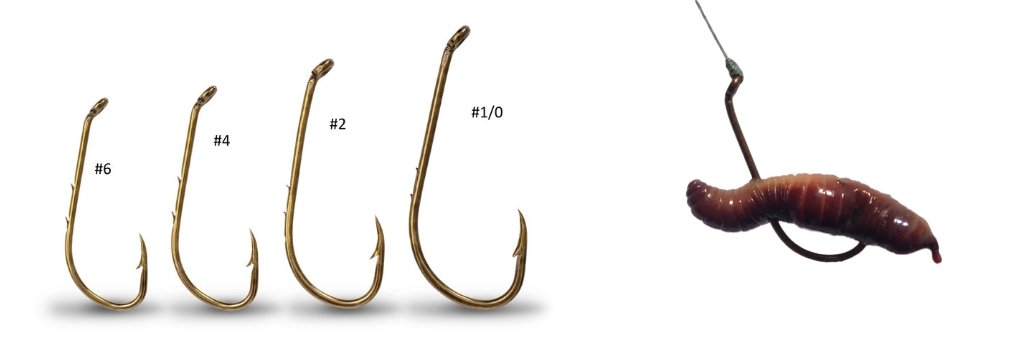 baitholder fishing hook sizes worm
