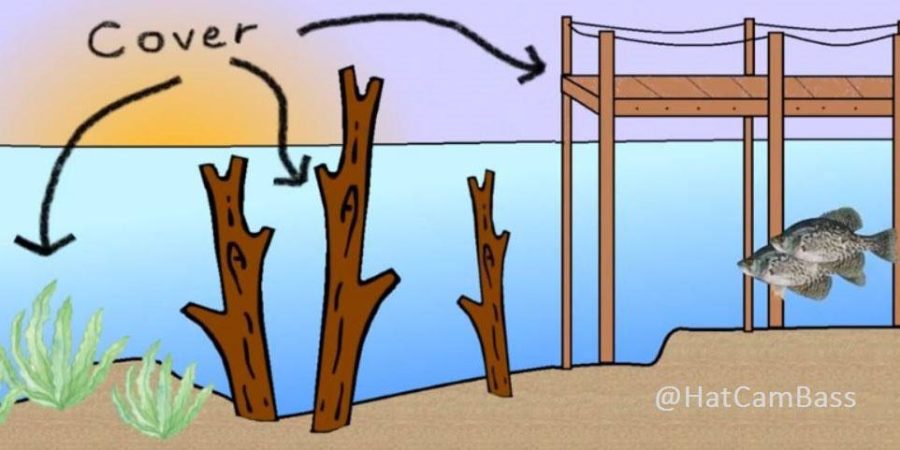fishing-cover-structure-how-to-hatcambass-tailored-tackle-3