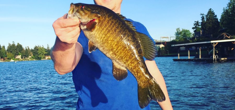 bass-fishing-kit-smallmouth-tailored-tackle