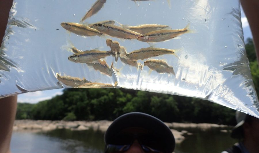 Types of Fish Bait Fishing for Beginners