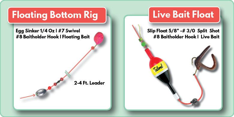 Trout Fishing Rigs for Lake Pond Reservoir Fishing Tailored Tackle