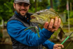 Smallmouth Bass Fishing For Beginners How to Fish for Smallmouth 2