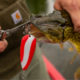 How to Set a Hook and Start Catching More Fish