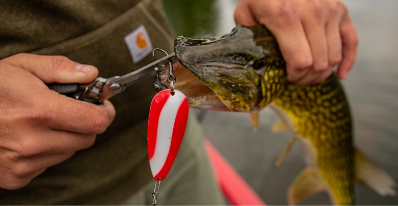 How to Set a Hook and Start Catching More Fish