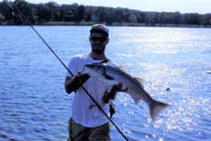 Striped Bass Fishing for Beginners in the Surf Tailored Tackle