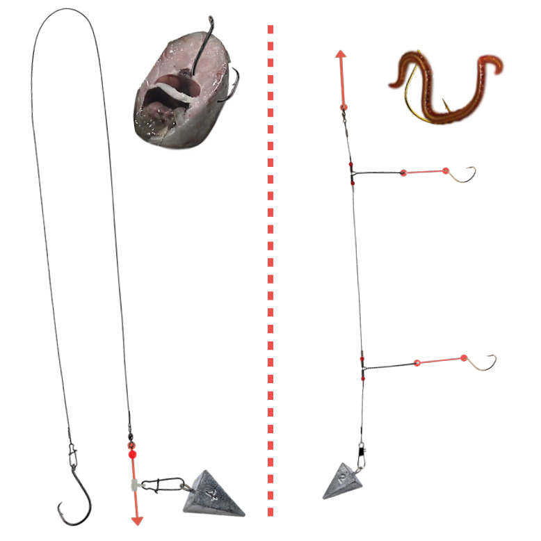 Striped Bass Fishing Rigs Saltwater Bait Tailored Tackle