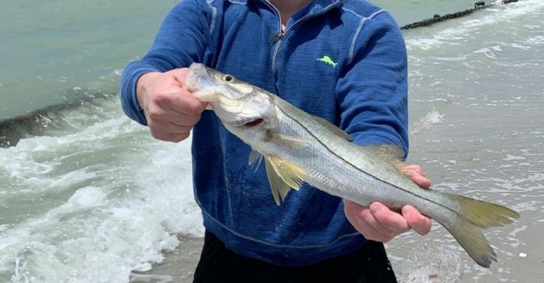 Snook Fishing in the Surf for Beginners Tailored Tackle