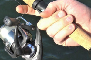 Best Monofilament Fishing Line Tailored Tackle 2