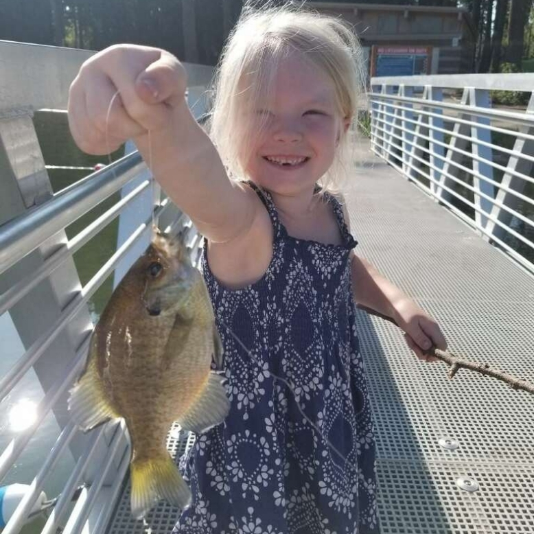 The-Best-Time-To-Fish-For-Bluegill-freshwater-fishing-panfish-tailored-tackle-2
