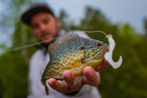 The-Best-Time-To-Fish-For-Bluegill-freshwater-fishing-tailored-tackle-4